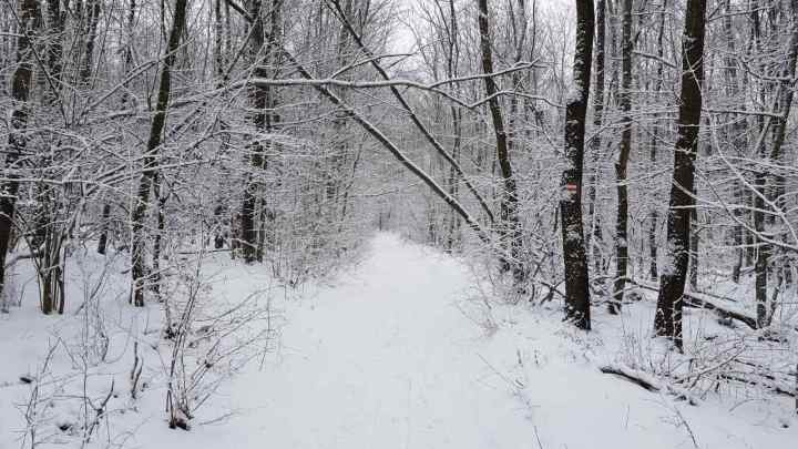 Ez volt otthon - Köszönöm Yoda