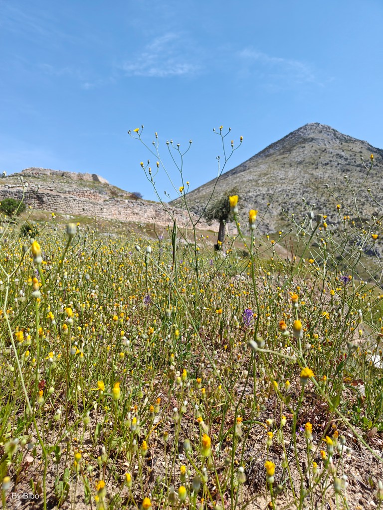 Mükéné fellegvára