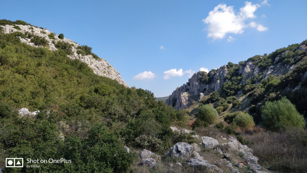 Dafnoulas híd - folyóvölgy